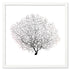 black sea fan white square frame